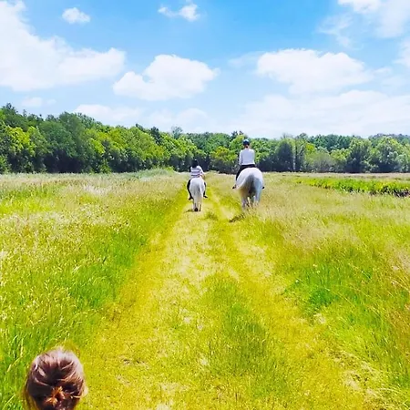 Le Vendalivet Apartment Vendays-Montalivet