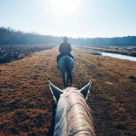 Le Vendalivet Appartement *