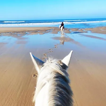 Le Vendalivet Appartement
