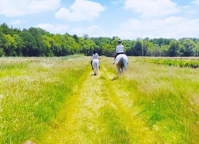 Le Vendalivet Appartement Vendays-Montalivet