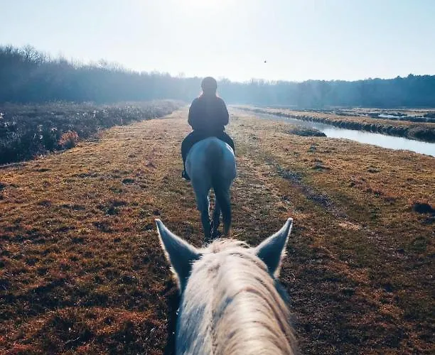 Le Vendalivet Lejlighed *