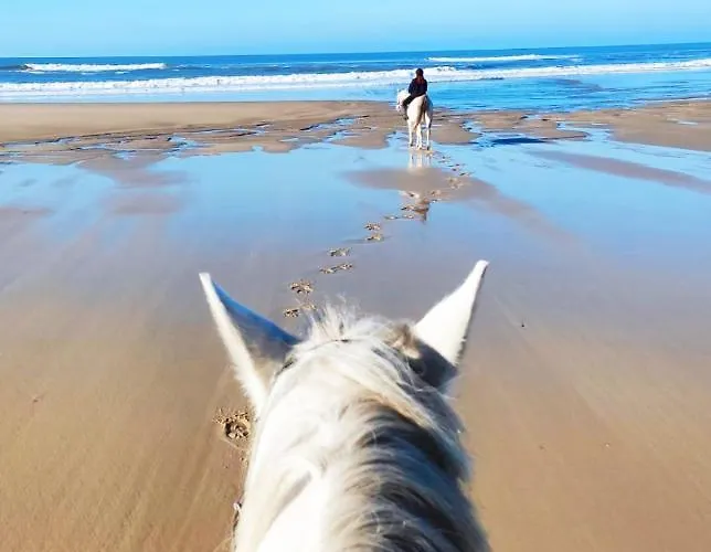 Le Vendalivet Appartement
